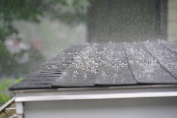 Best Cold Roofs  in Marysville, MI